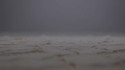 Lavender-Jasmine Infusion Mask Exfoliant 2-in-1